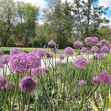Forest * Bad Bevensen