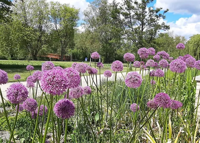 Forest * Бад-Бевензен