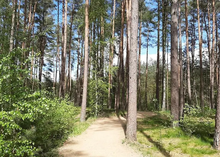 Хостел Forest